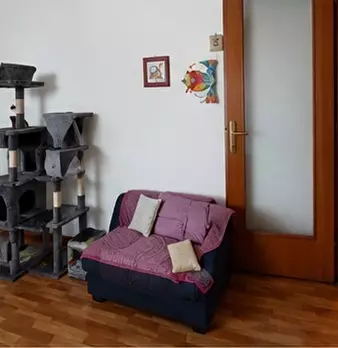 Foto annuncio 4
