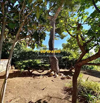 Foto annuncio 31