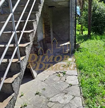 Foto annuncio 62