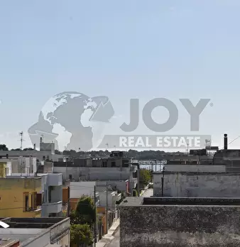 Foto annuncio 41