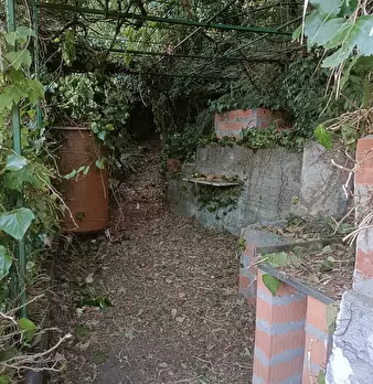 Foto annuncio 26
