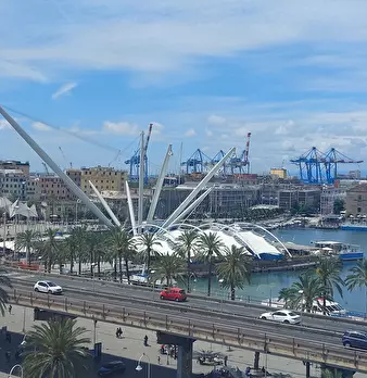 Foto annuncio 31