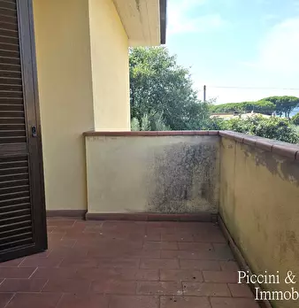 Foto annuncio 26