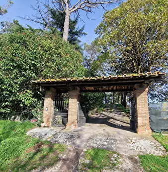 Foto annuncio 2