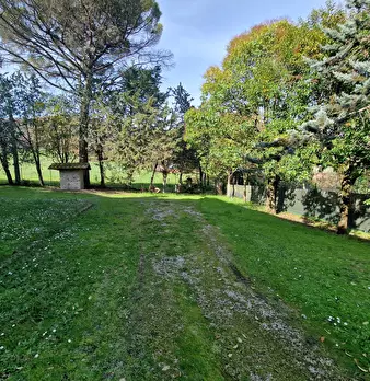 Foto annuncio 61