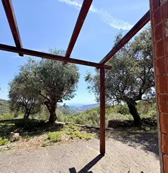 Foto annuncio 13