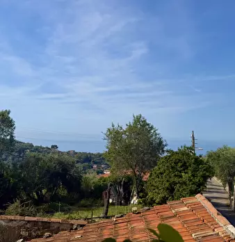 Foto annuncio 20