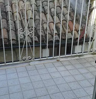 Foto annuncio 22