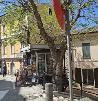 Foto annuncio 5