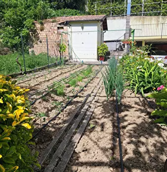 Foto annuncio 50
