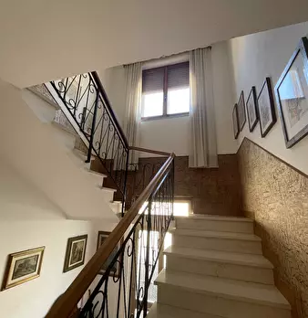 Foto annuncio 24