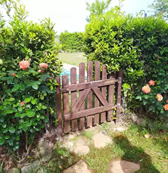Foto annuncio 3
