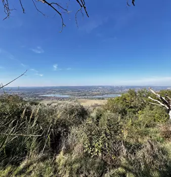 Foto annuncio 80