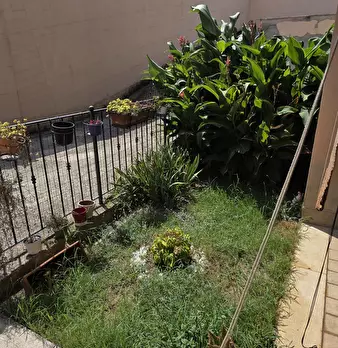 Foto annuncio 4