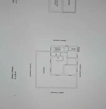 Foto annuncio 71