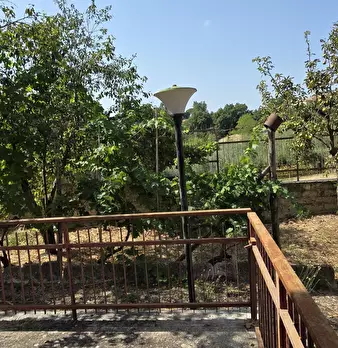 Foto annuncio 22