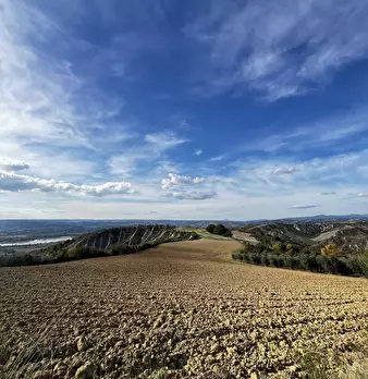 Foto annuncio 103