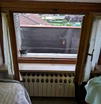 Foto annuncio 12