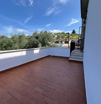 Foto annuncio 12