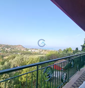 Foto annuncio 12