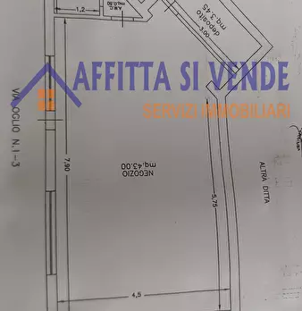 Foto annuncio 15