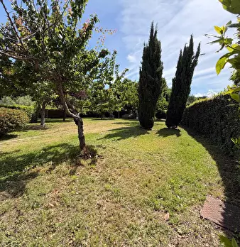 Foto annuncio 28