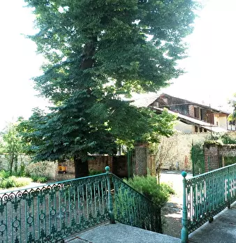 Foto annuncio 7