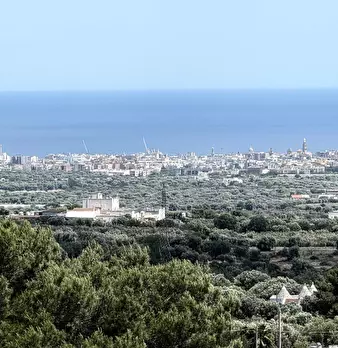 Foto annuncio 27