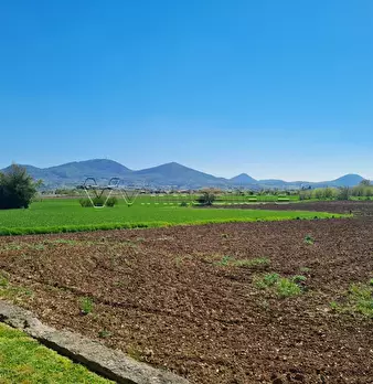 Foto annuncio 7