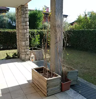 Foto annuncio 9