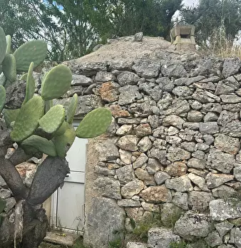 Foto annuncio 20