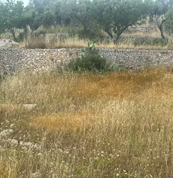 Foto annuncio 17