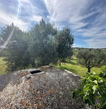 Foto annuncio 24