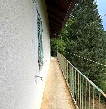 Foto annuncio 36