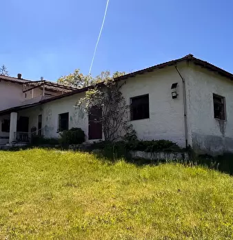 Foto annuncio 57