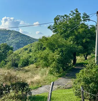 Foto annuncio 22