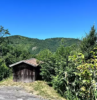 Foto annuncio 3