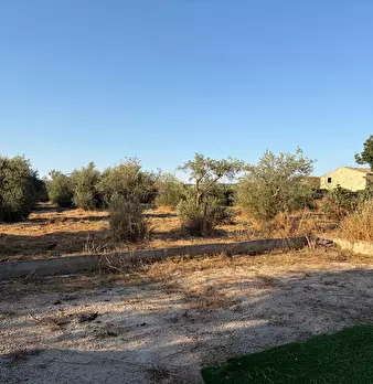 Foto annuncio 16