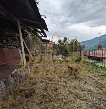 Foto annuncio 19