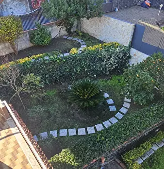 Foto annuncio 12
