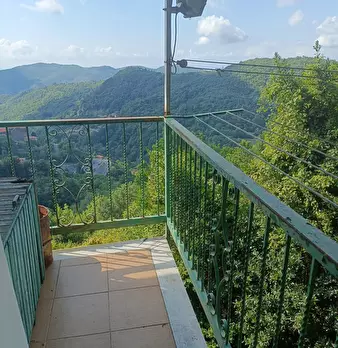 Foto annuncio 12