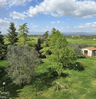 Foto annuncio 80