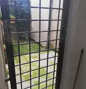 Foto annuncio 12