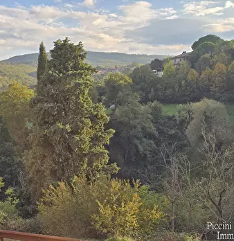 Foto annuncio 24
