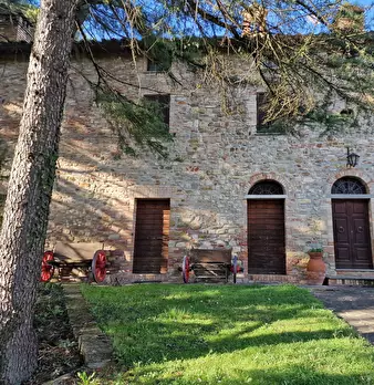 Foto annuncio 9