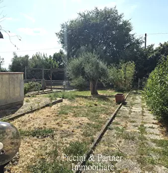 Foto annuncio 3