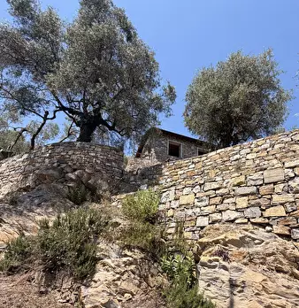 Foto annuncio 28