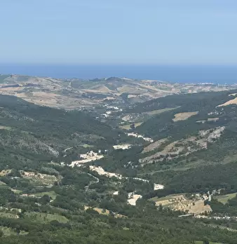 Foto annuncio 77