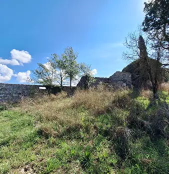 Foto annuncio 74