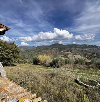 Foto annuncio 90